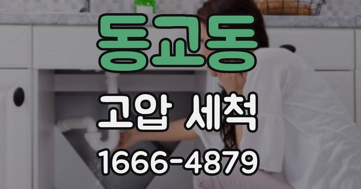 동교동 고압 세척