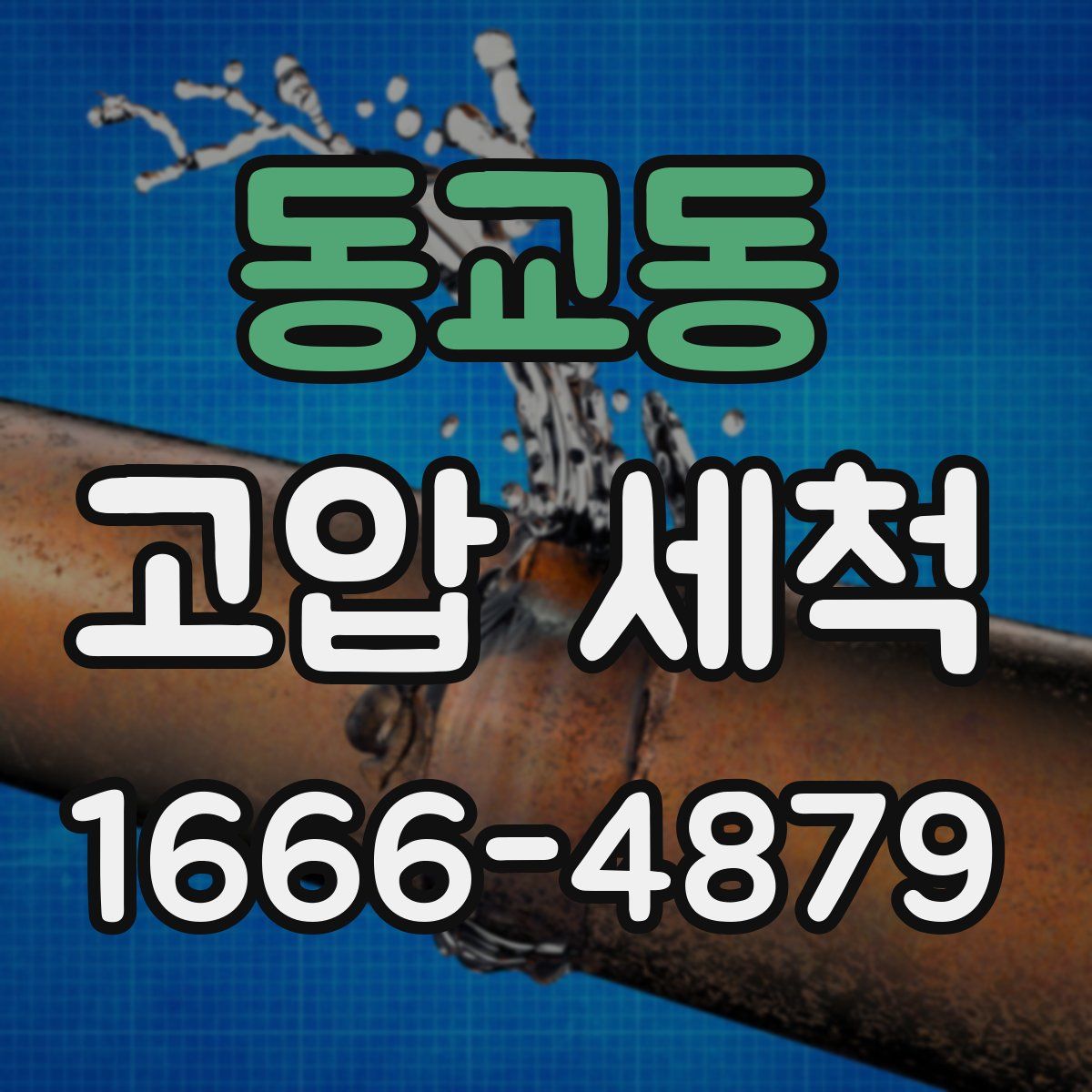 동교동 고압 세척