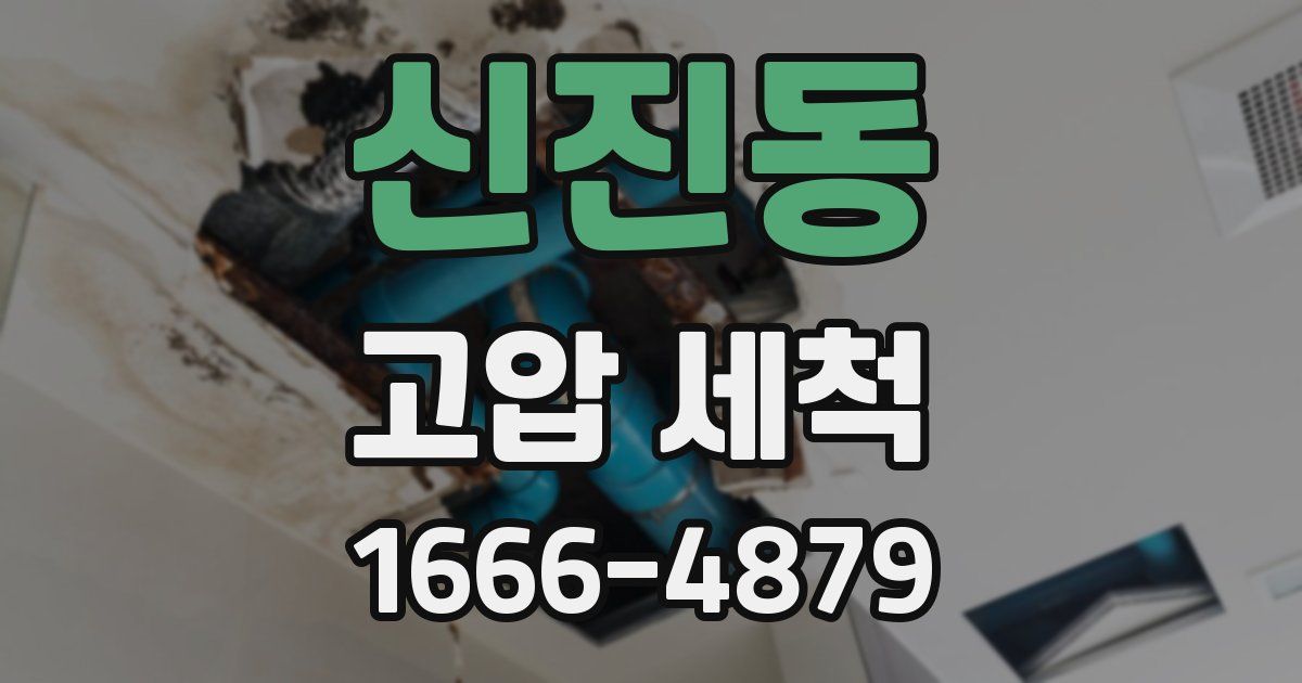 신진동 고압 세척