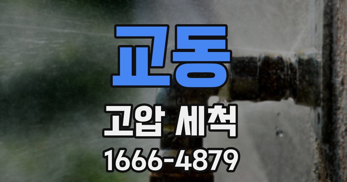 교동 고압 세척
