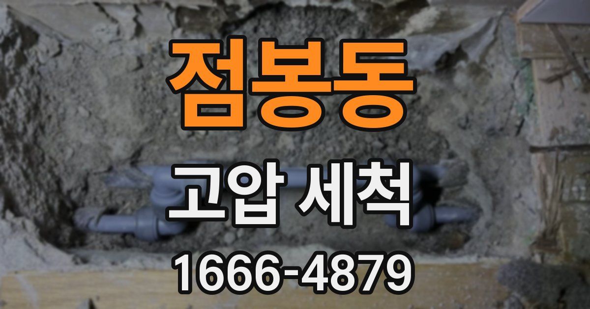점봉동 고압 세척