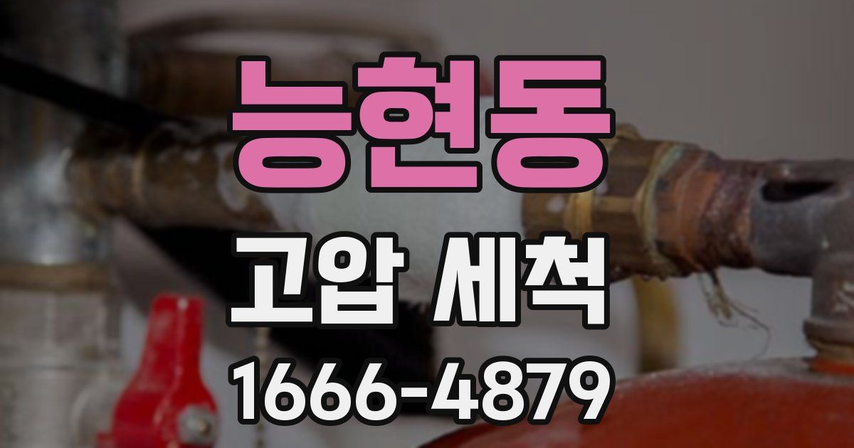 능현동 고압 세척