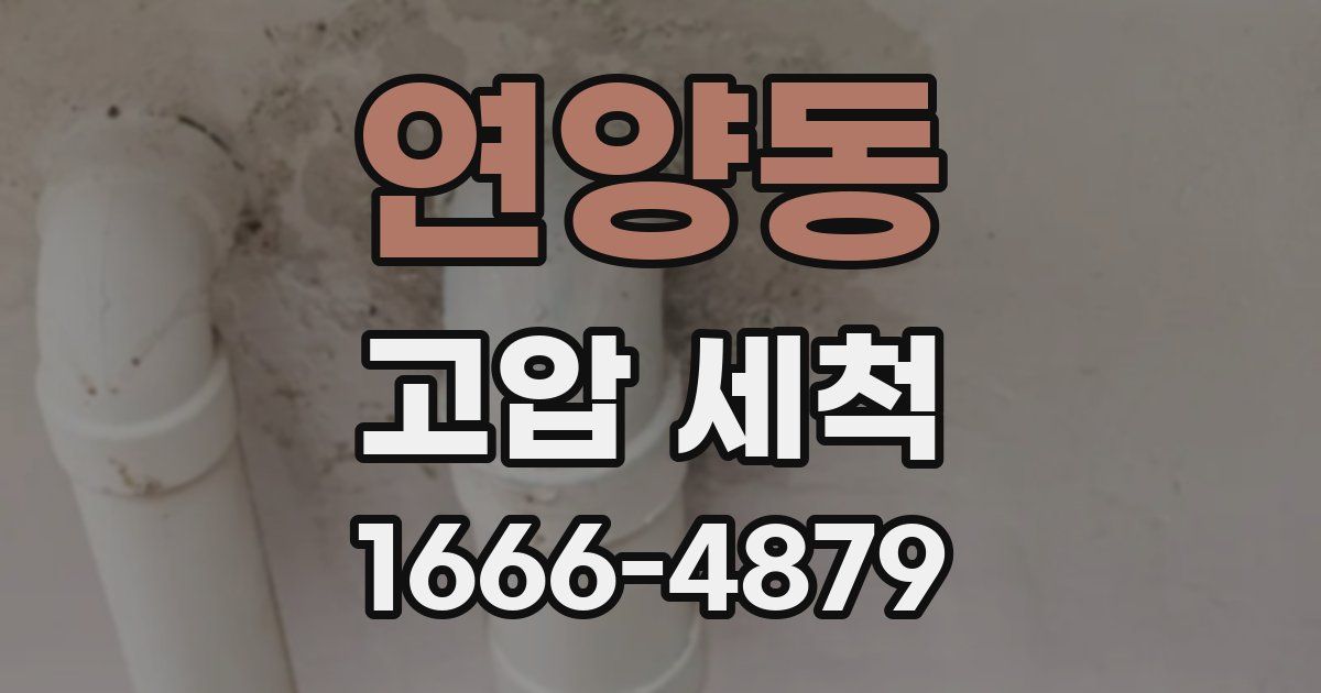 연양동 고압 세척