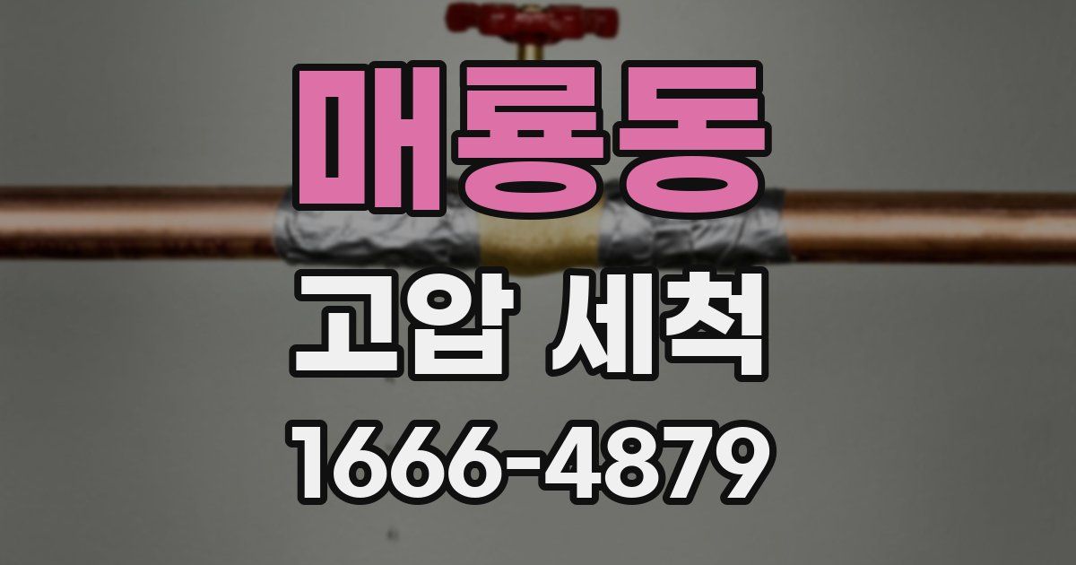 매룡동 고압 세척