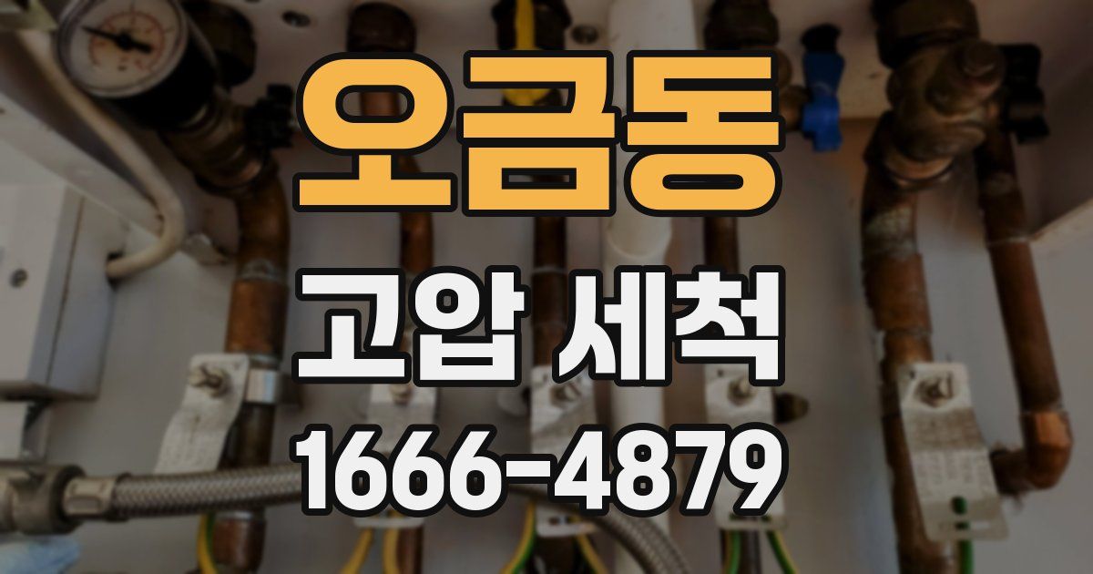 오금동 고압 세척