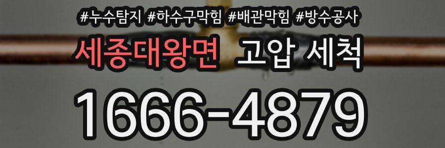세종대왕면 고압 세척