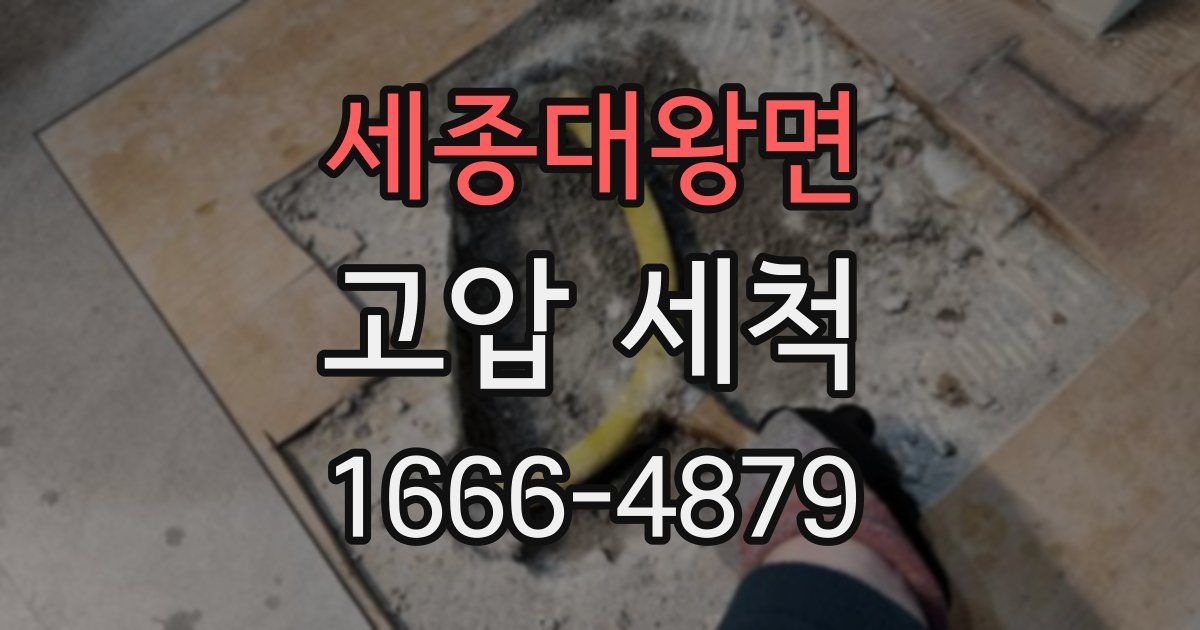 세종대왕면 고압 세척