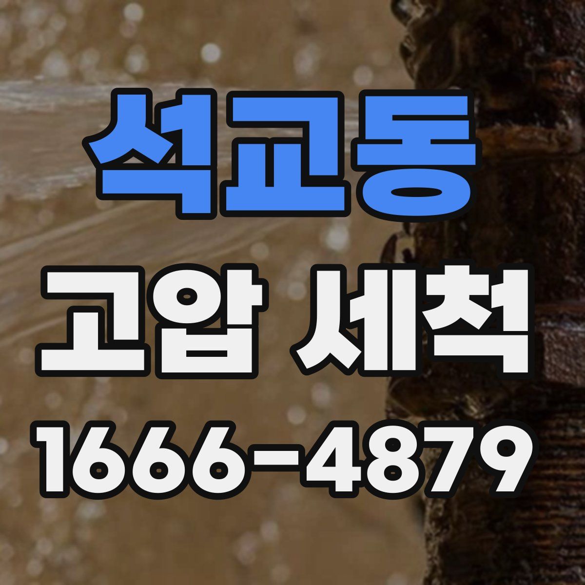 석교동 고압 세척