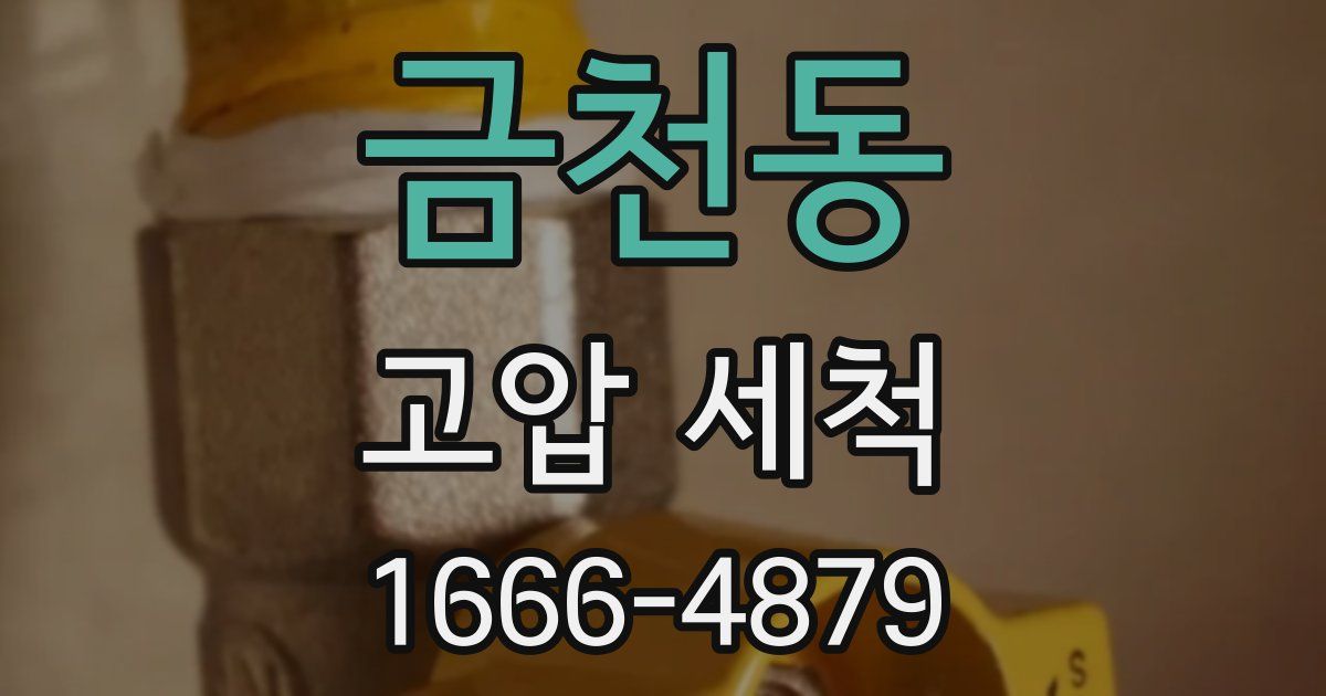 금천동 고압 세척