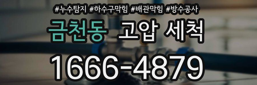 금천동 고압 세척