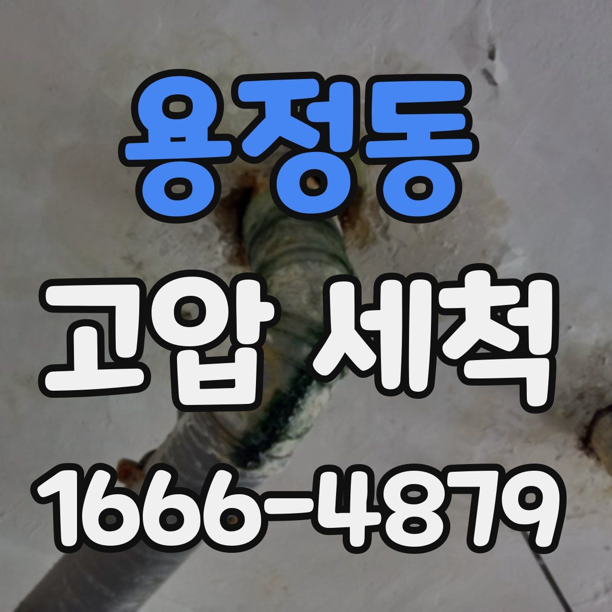 용정동 고압 세척