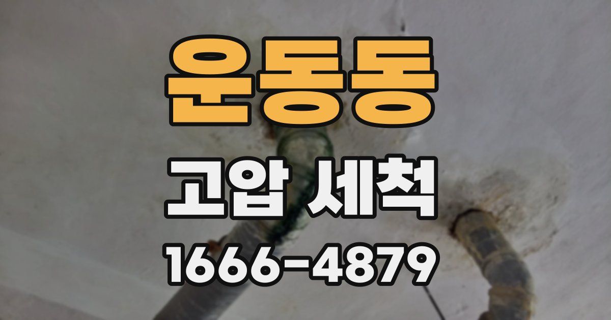 운동동 고압 세척