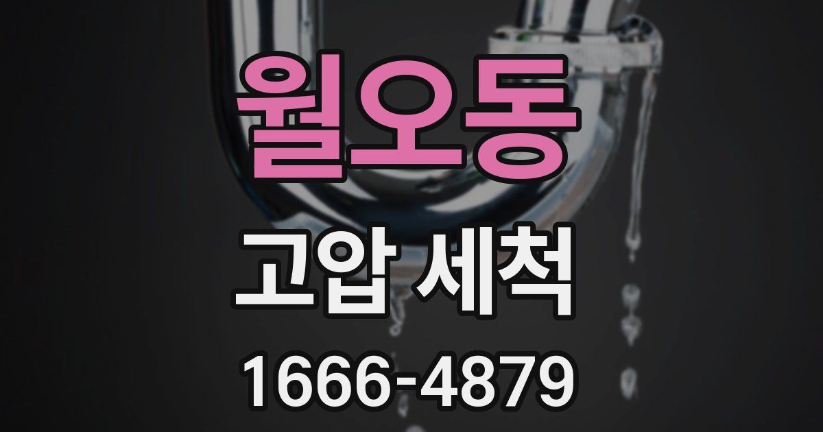 월오동 고압 세척