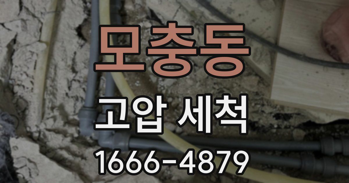 모충동 고압 세척