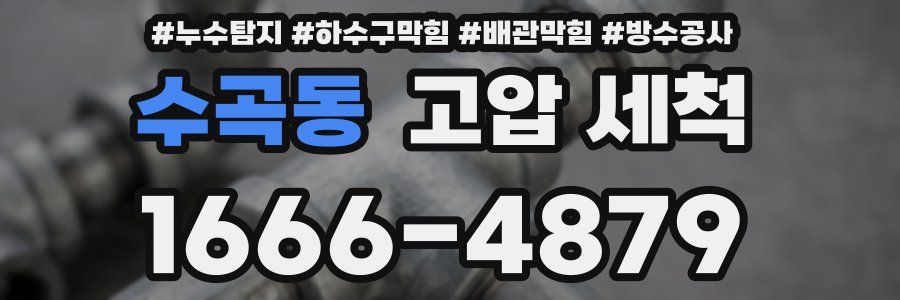 수곡동 고압 세척