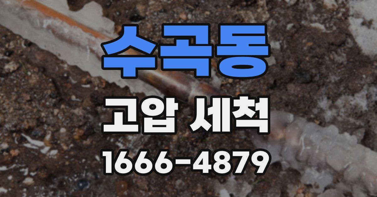 수곡동 고압 세척