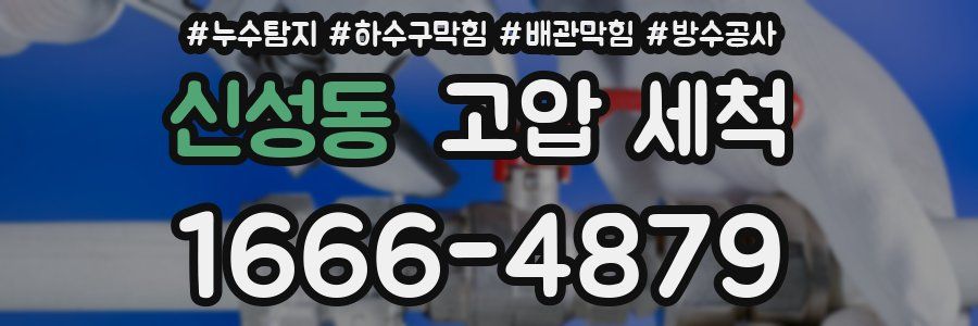 신성동 고압 세척