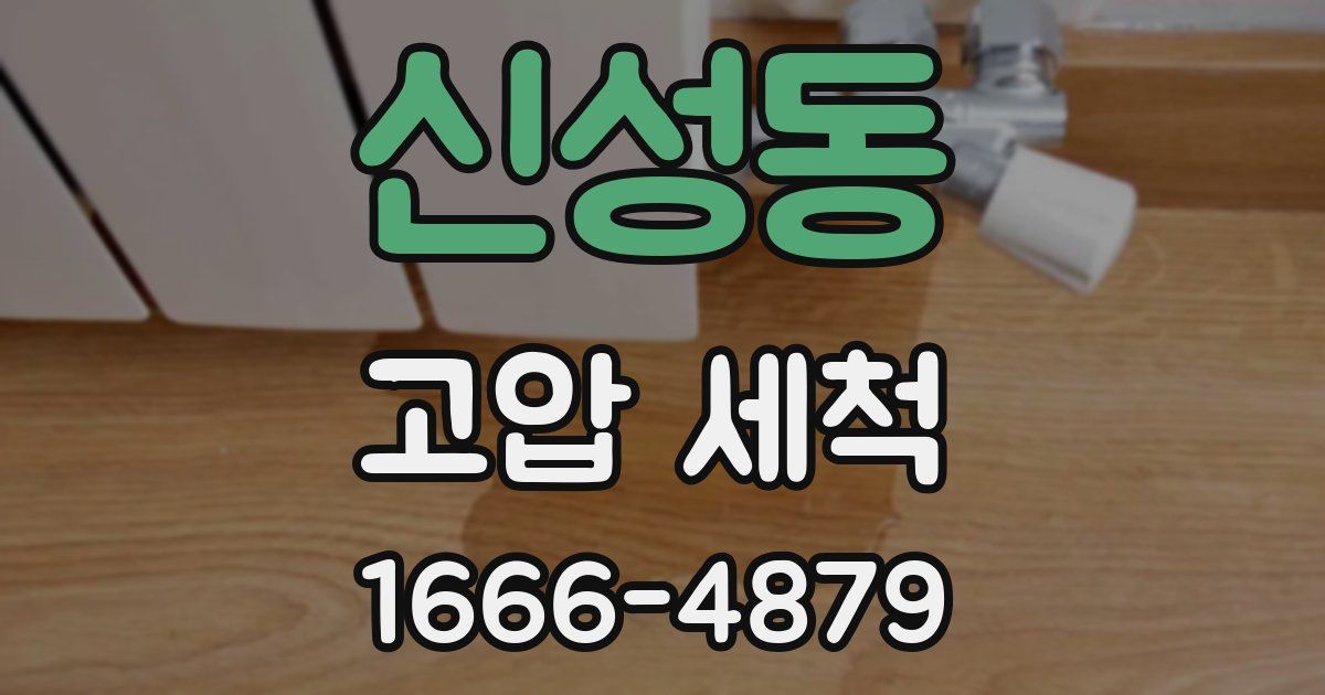 신성동 고압 세척