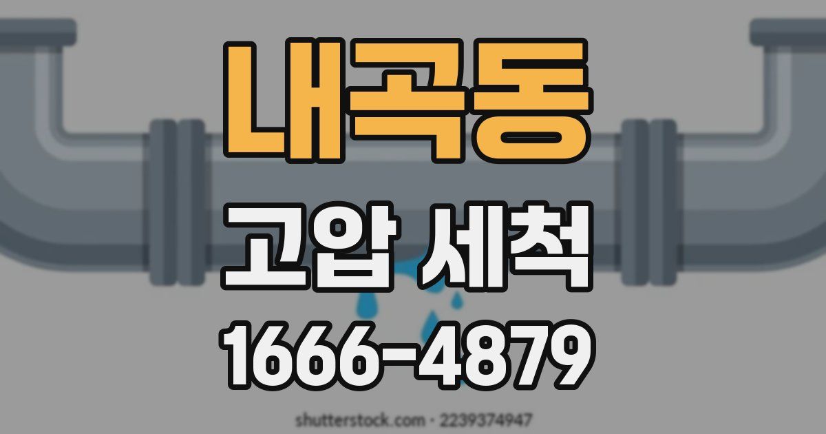 내곡동 고압 세척