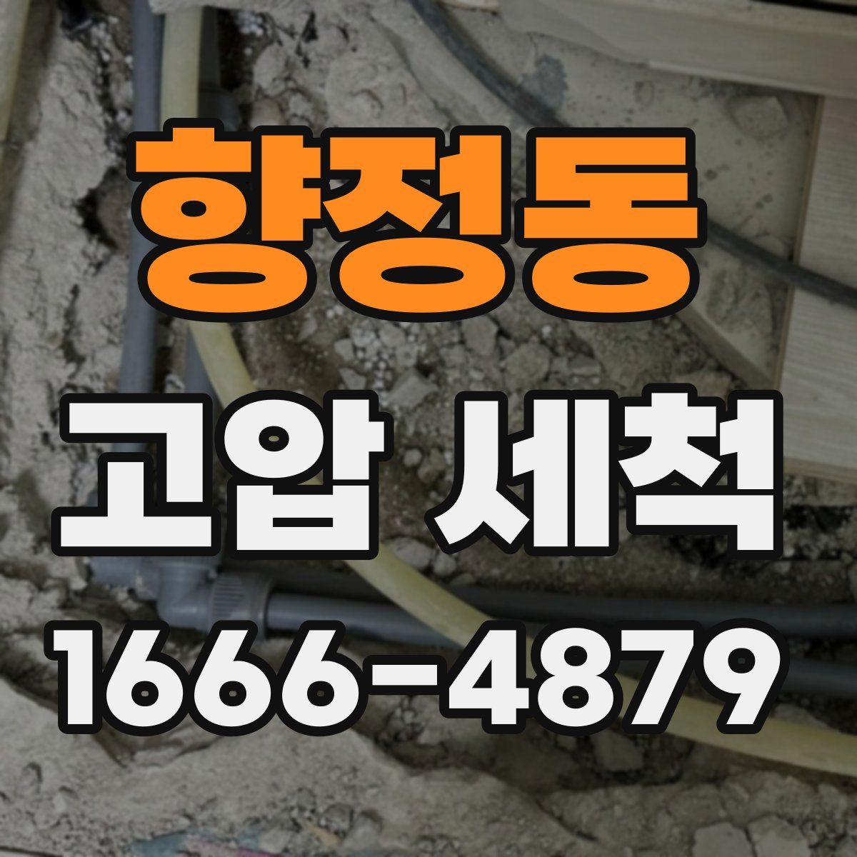 향정동 고압 세척