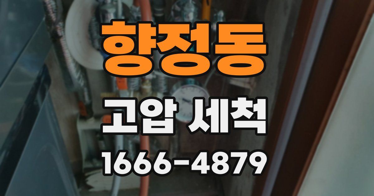향정동 고압 세척