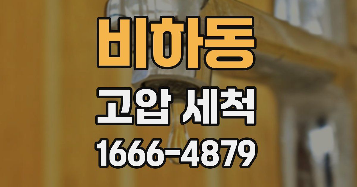 비하동 고압 세척