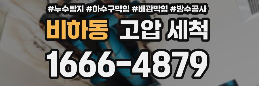 비하동 고압 세척