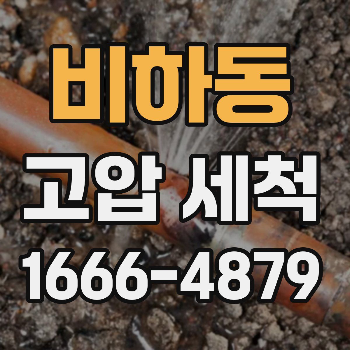 비하동 고압 세척