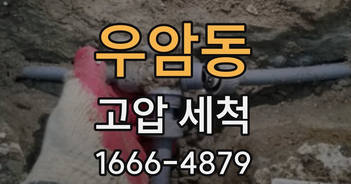 우암동 고압 세척