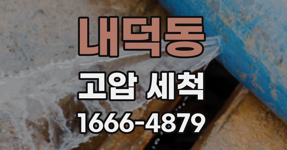 내덕동 고압 세척