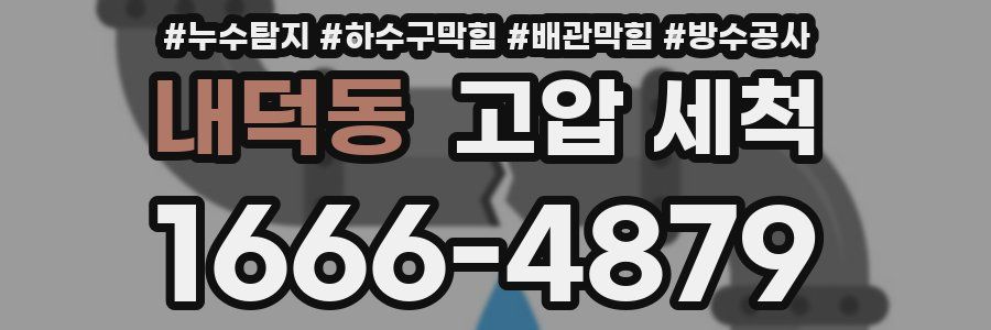 내덕동 고압 세척