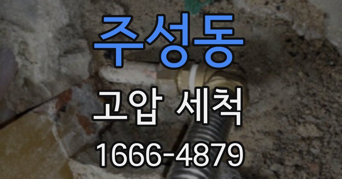 주성동 고압 세척