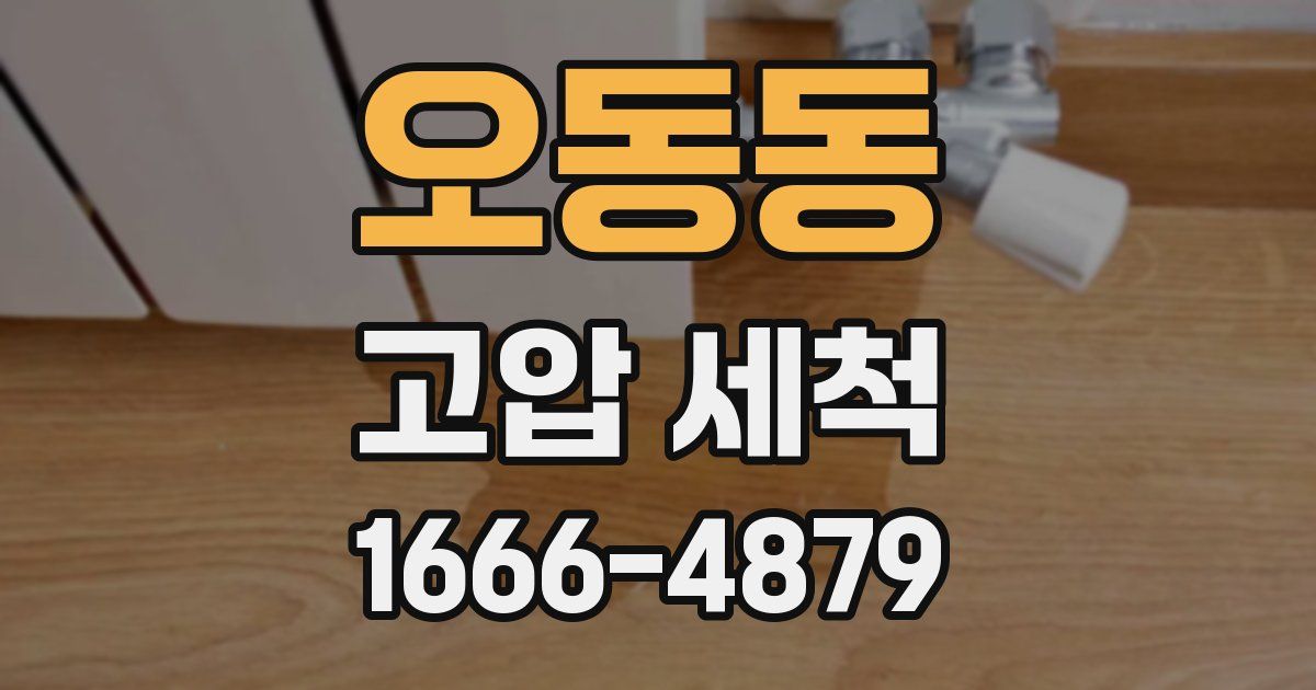 오동동 고압 세척