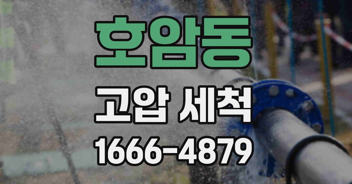 호암동 고압 세척