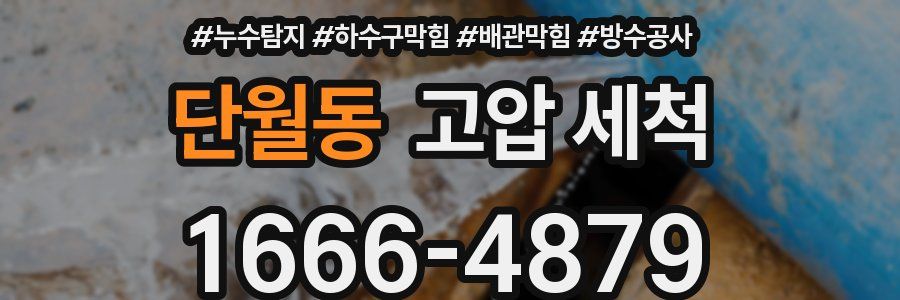 단월동 고압 세척