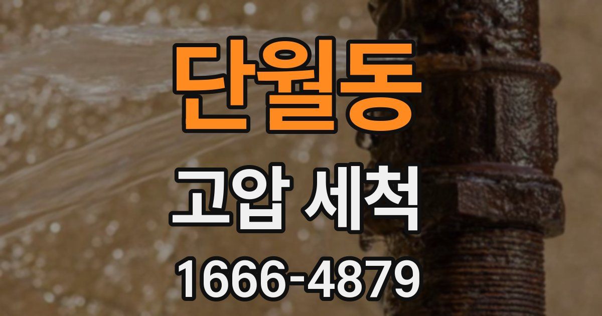 단월동 고압 세척