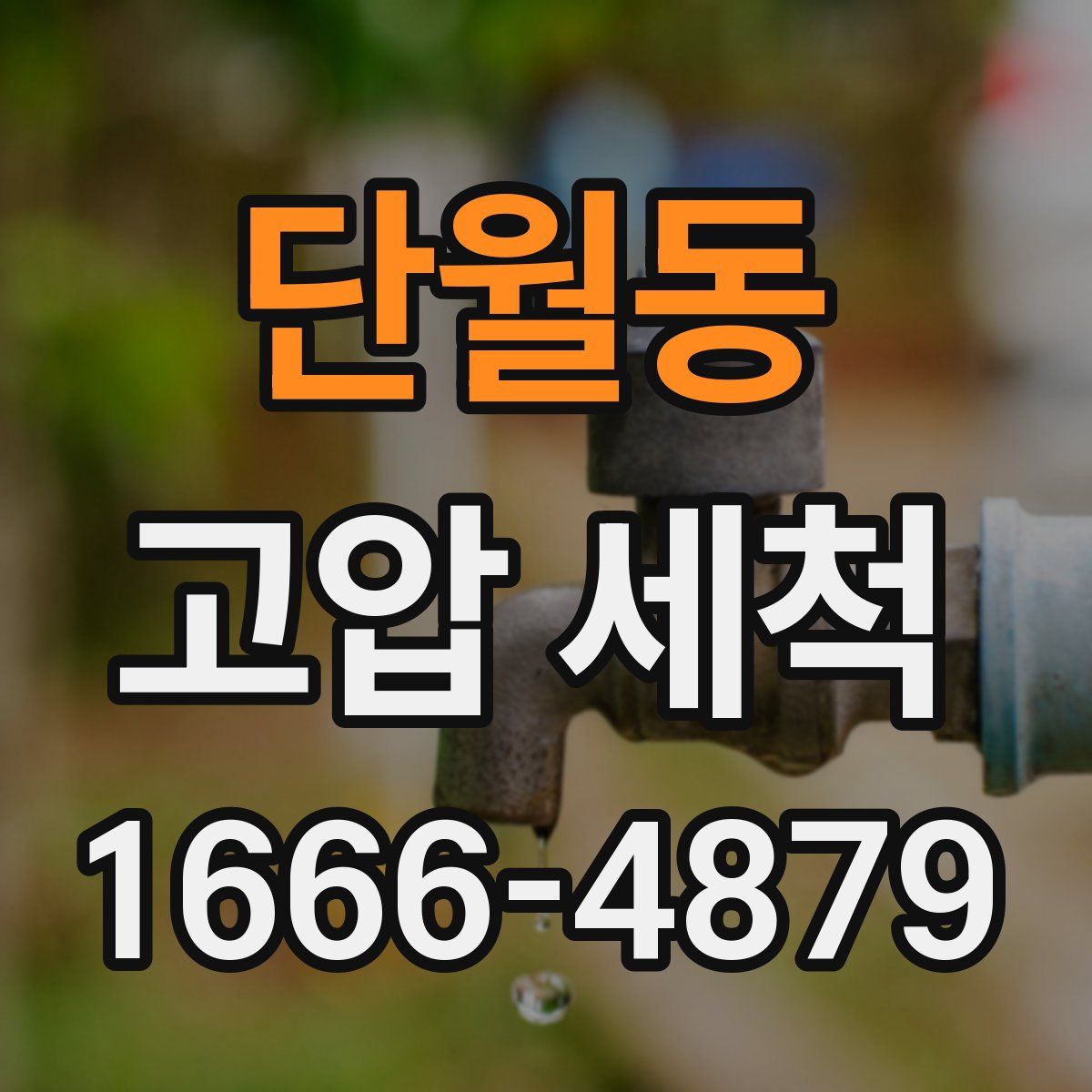 단월동 고압 세척