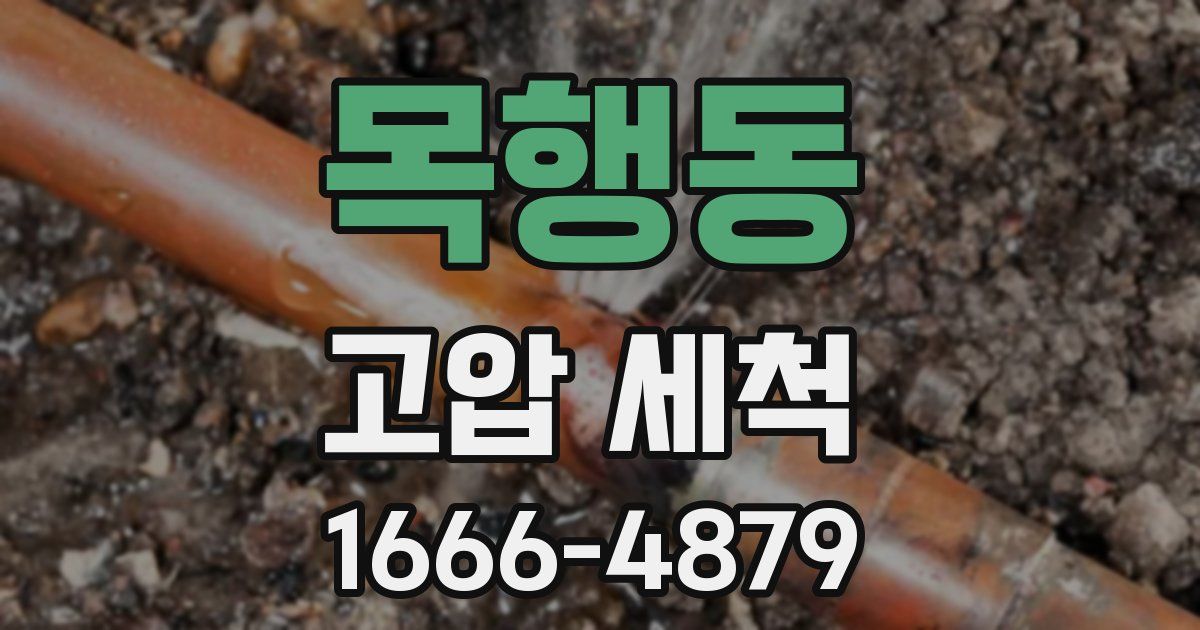 목행동 고압 세척