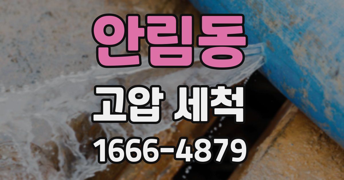 안림동 고압 세척