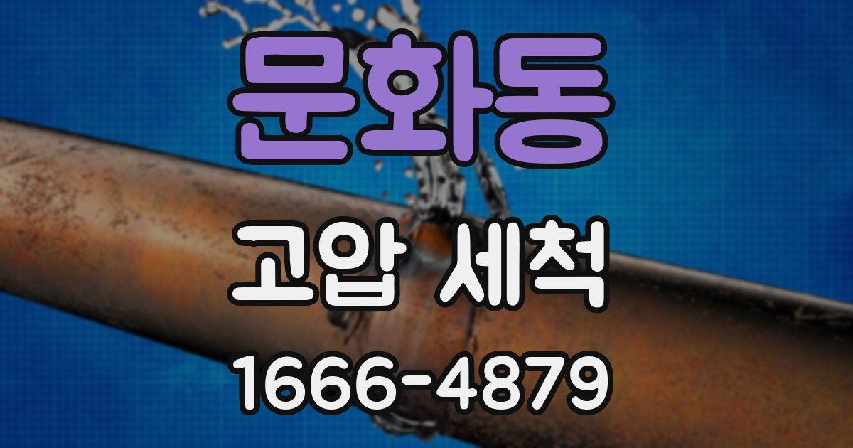 문화동 고압 세척