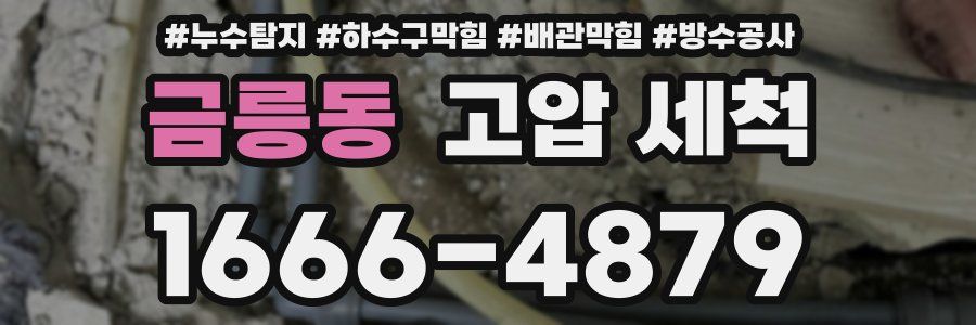 금릉동 고압 세척