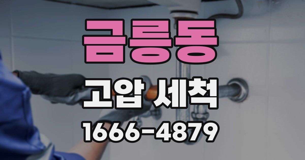 금릉동 고압 세척