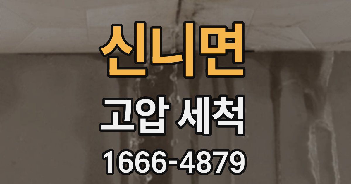 신니면 고압 세척