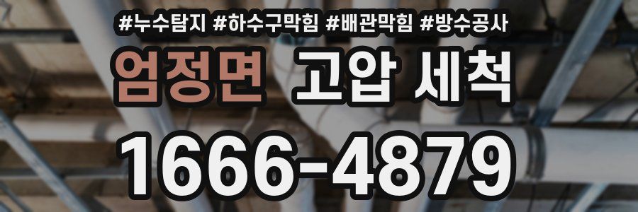 엄정면 고압 세척