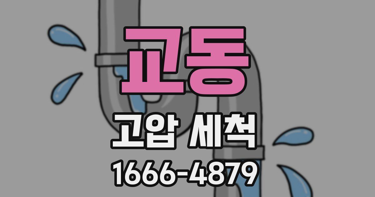 교동 고압 세척
