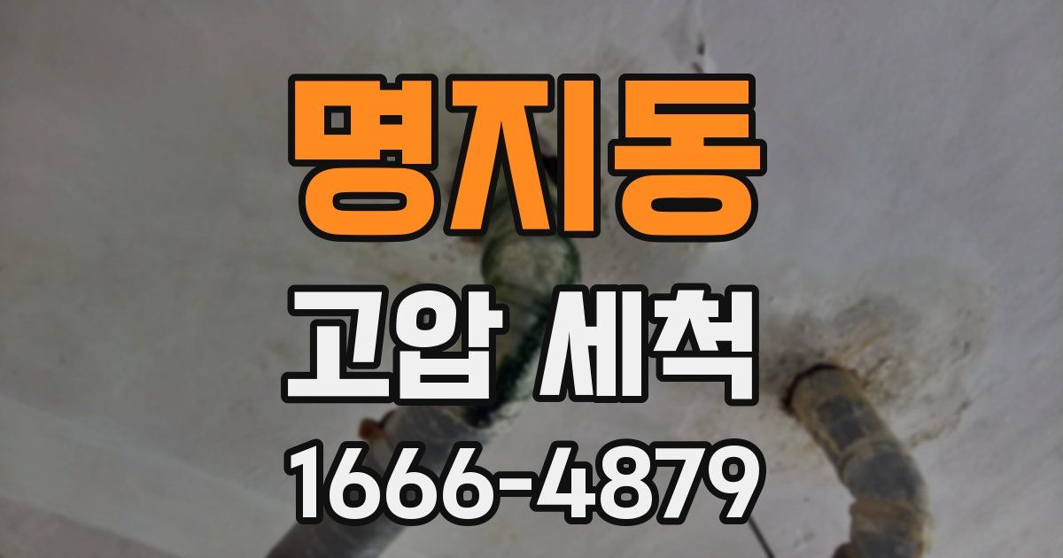 명지동 고압 세척