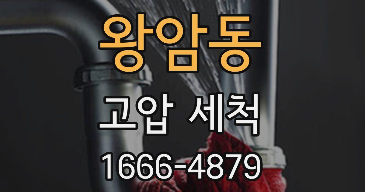 왕암동 고압 세척