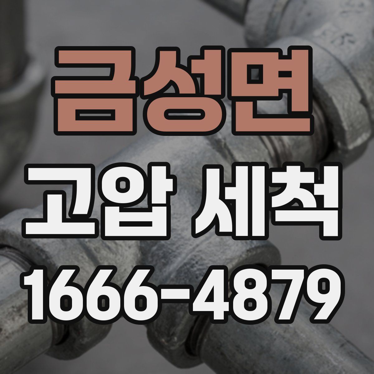 금성면 고압 세척