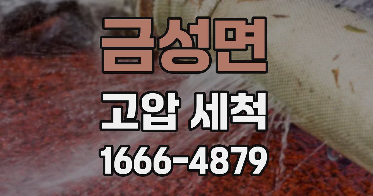 금성면 고압 세척