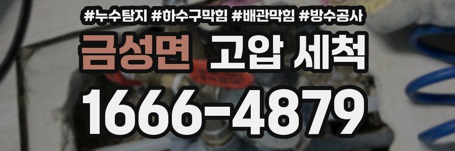 금성면 고압 세척